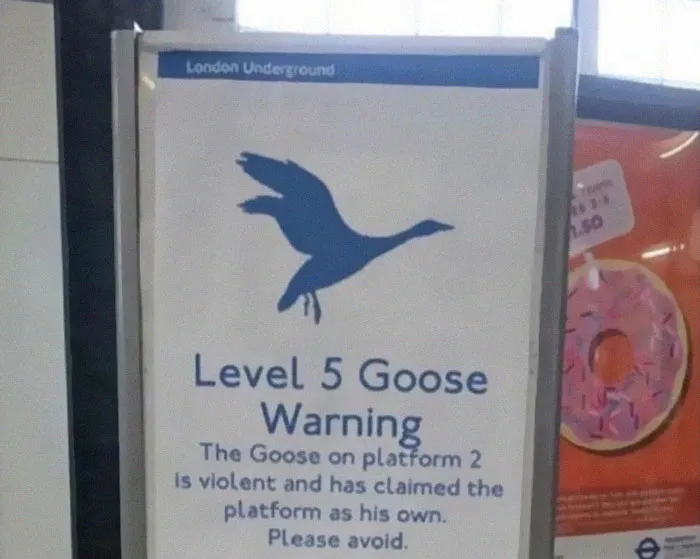50 Times People Found Weird Or Hilarious Disclaimers That Were "Clearly The Result Of A Lawsuit"