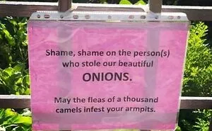 50 Times People Found Weird Or Hilarious Disclaimers That Were "Clearly The Result Of A Lawsuit"