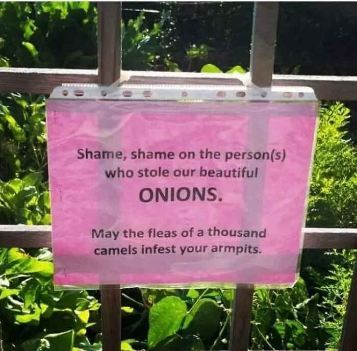 50 Times People Found Weird Or Hilarious Disclaimers That Were "Clearly The Result Of A Lawsuit"
