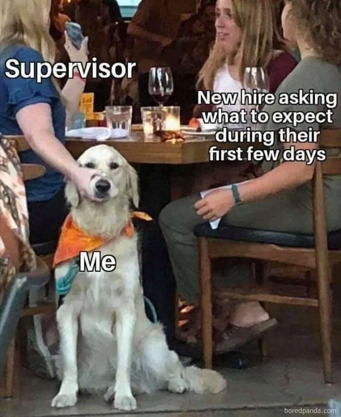 30 Of The Best "Work Related Funnies" From This Facebook Group To Make You Laugh, Then Cry