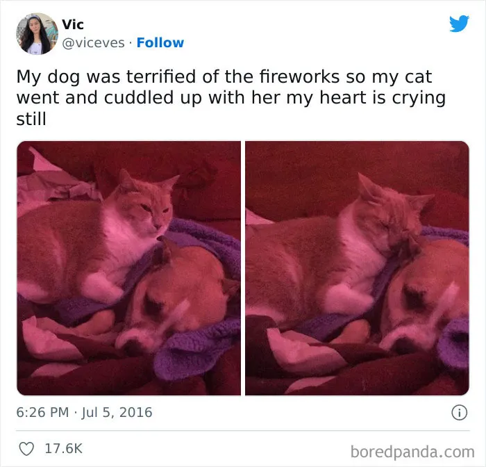 "The Best And Worst Of Twitter": 50 Of The Most Surprising Takes On Pretty Much Everything (New Pics)