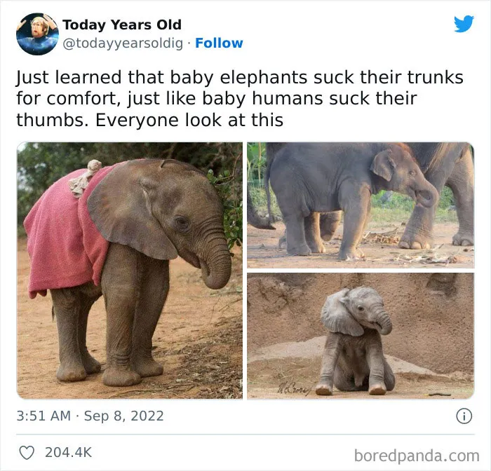 "The Best And Worst Of Twitter": 50 Of The Most Surprising Takes On Pretty Much Everything (New Pics)