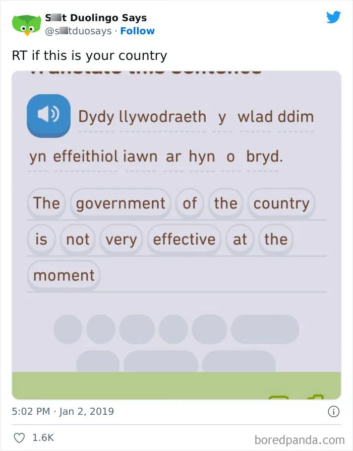 "Linguistic Gold Provided By Duolingo": 40 Of The Funniest And Most Unexpected Prompts Found On The App
