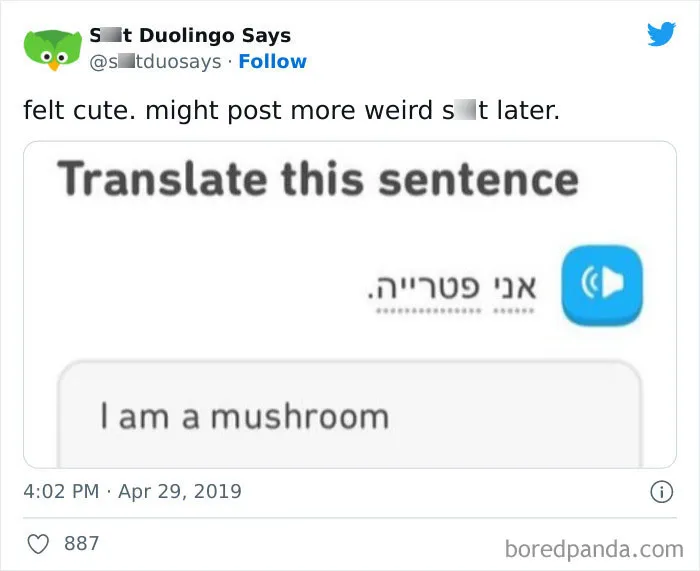 "Linguistic Gold Provided By Duolingo": 40 Of The Funniest And Most Unexpected Prompts Found On The App