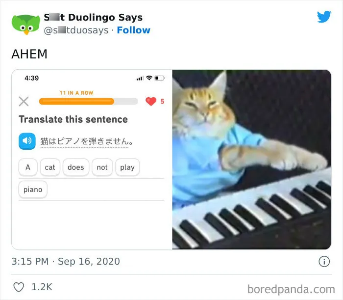 "Linguistic Gold Provided By Duolingo": 40 Of The Funniest And Most Unexpected Prompts Found On The App