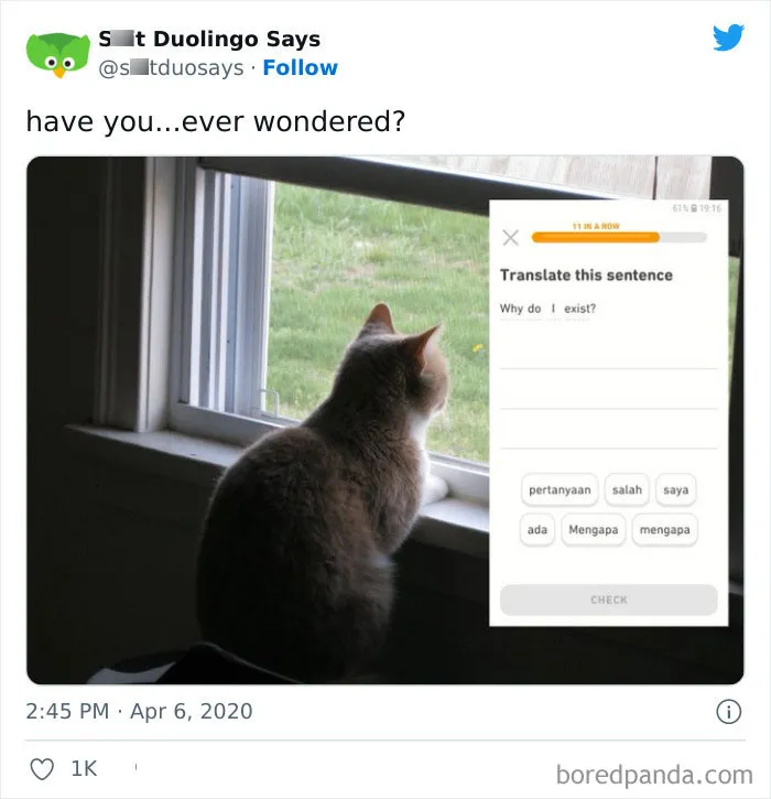 "Linguistic Gold Provided By Duolingo": 40 Of The Funniest And Most Unexpected Prompts Found On The App