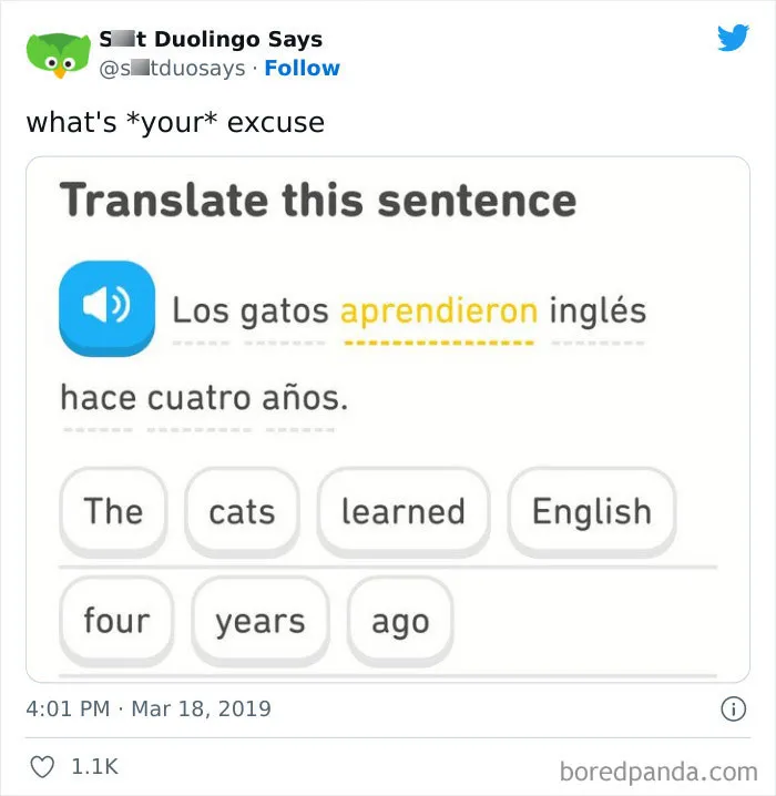 "Linguistic Gold Provided By Duolingo": 40 Of The Funniest And Most Unexpected Prompts Found On The App