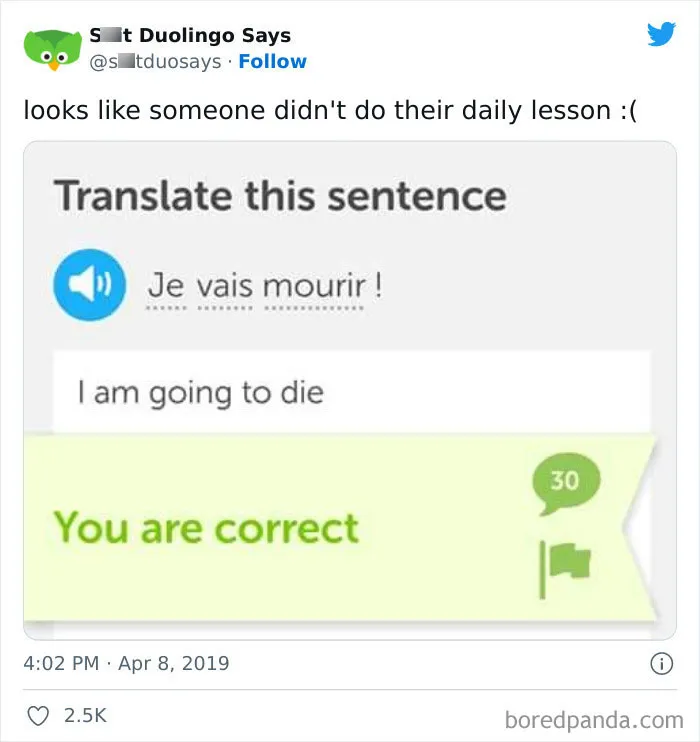 "Linguistic Gold Provided By Duolingo": 40 Of The Funniest And Most Unexpected Prompts Found On The App