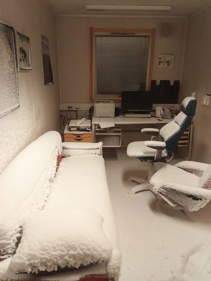 Cuando vives en Svalbard, Noruega, y te olvidas de cerrar la ventana del estudio de trabajo en casa