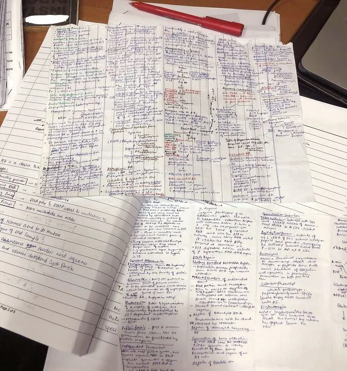 One Of My Students Forgot Her Cheat Sheet Inside Her Biochem Finals Answer Sheet