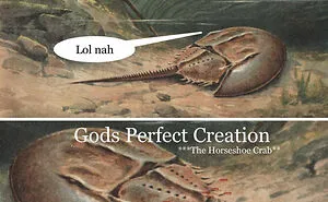 50 Of The Funniest And Most Accurate History Memes Shared By This Instagram Account (New Pics)