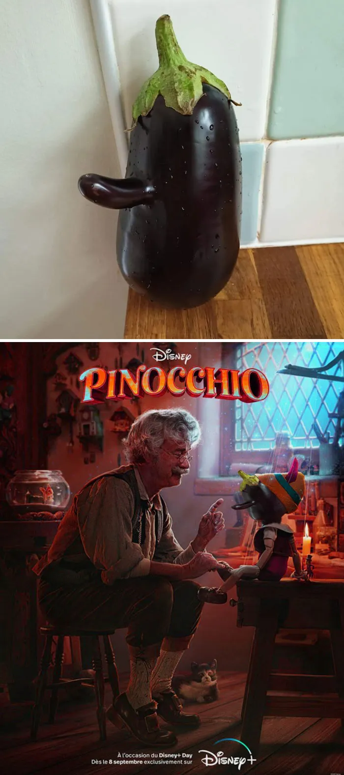 A Peculiar Eggplant