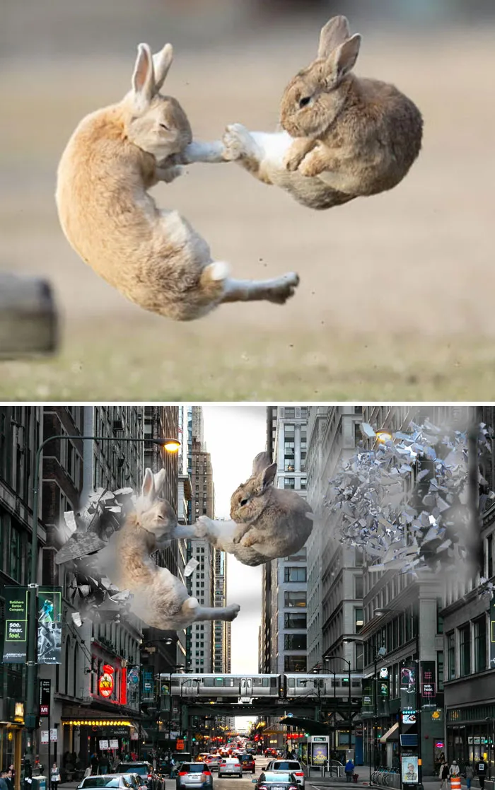 Kung Fu Bunnies