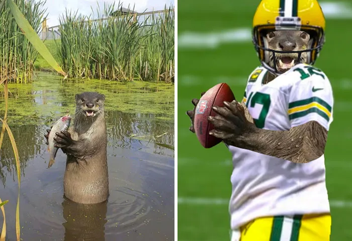 This Otter Holding A Fish