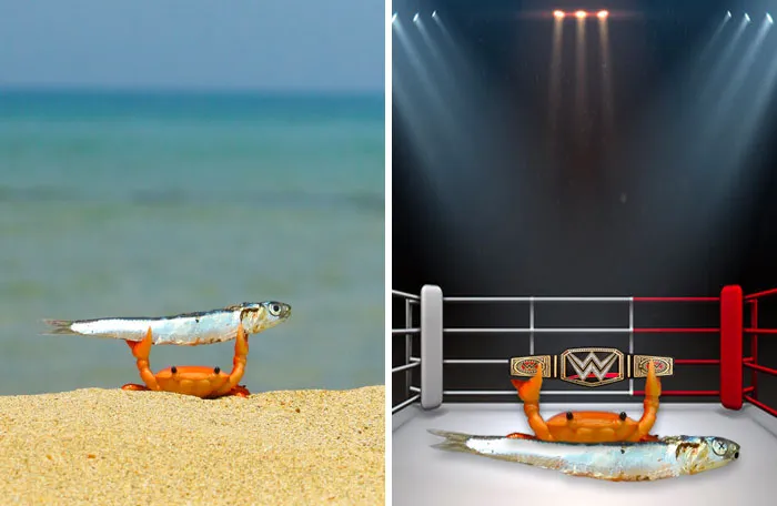 Crab Holding Fish