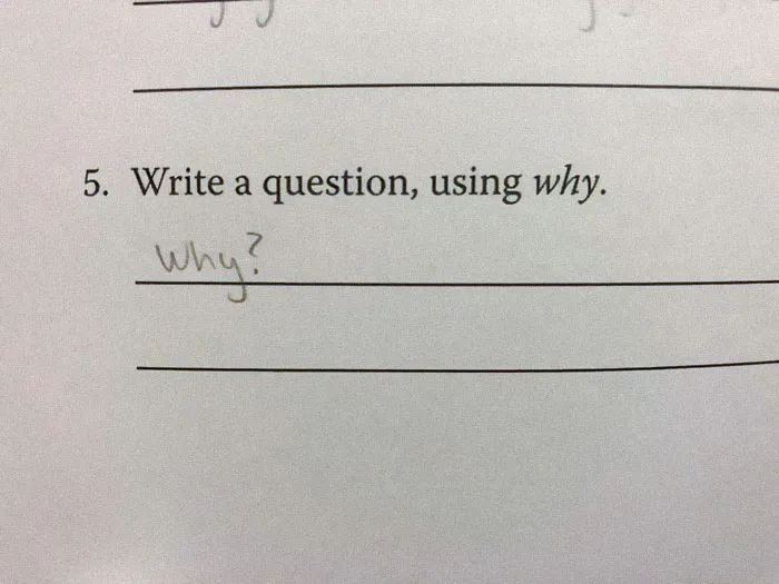 The Answer To This Question