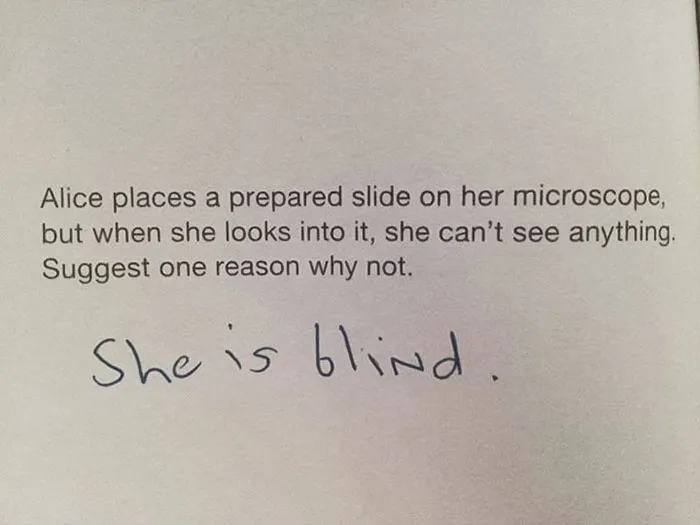 Debatable. But Still A Good Answer