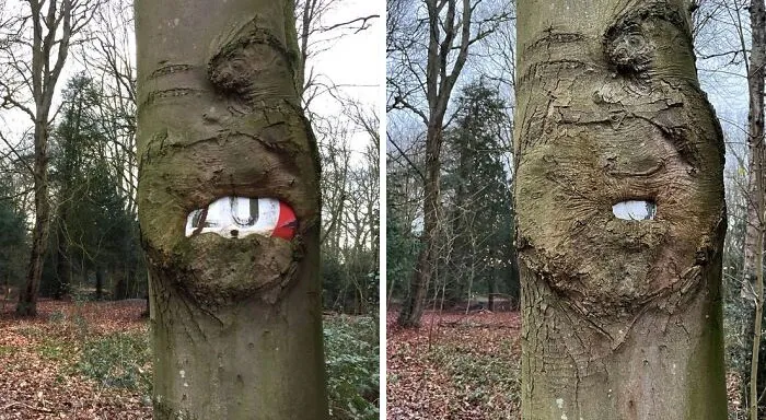 You Would Squint Too, If You Had To Gobble Up A Traffic Sign