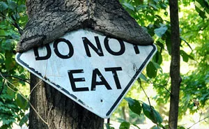40 Times People Saw Trees 'Devouring' Random Objects And Just Had To Share Proof Online