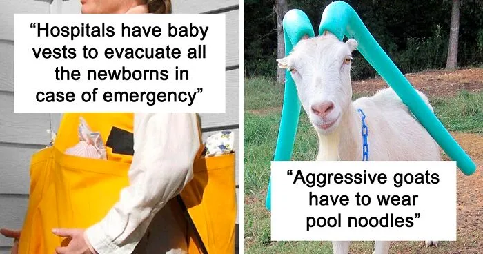 The ‘Today Years Old’ Social Media Project Shares Cool Facts, And Here Are 50 Of The Very Best Ones
