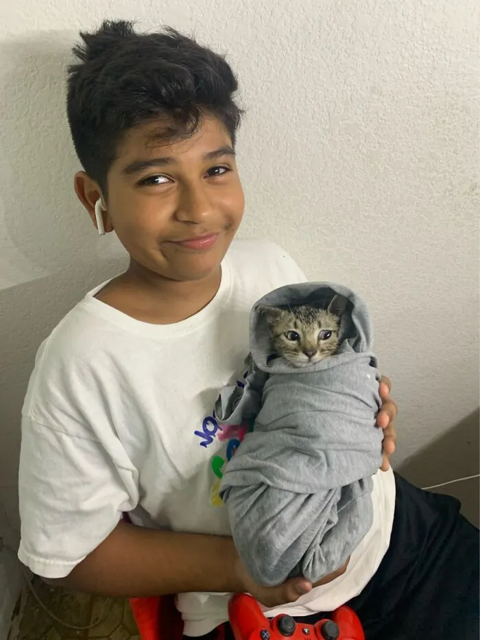 My Son And Stripes, She Disappeared From Our Yard Days Later