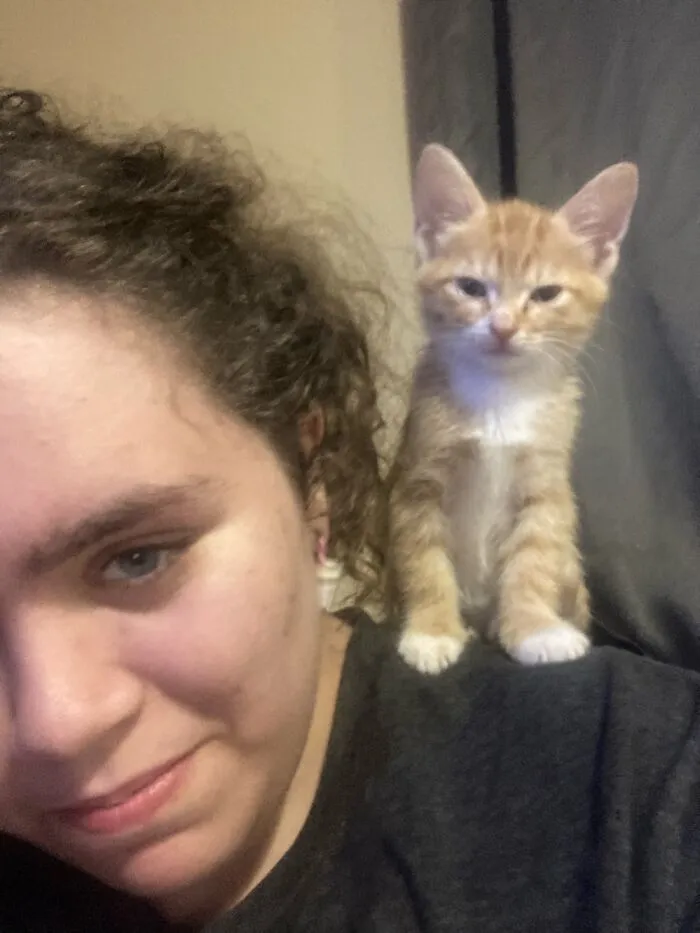 He’s A Parrot Cat Lol
