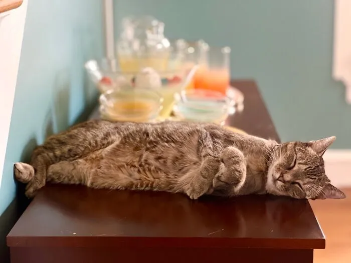 Planking?