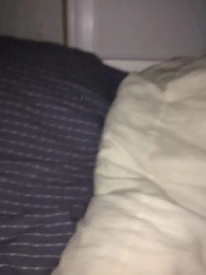 “Sleeping”
