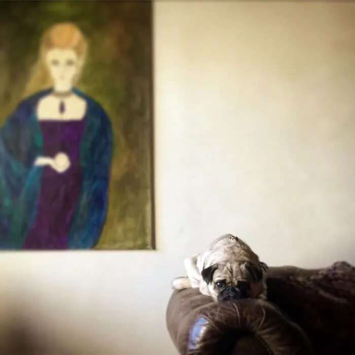 Pug As Art
