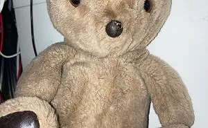 Hey Pandas, What Is The Oldest And The Most Important Plush You Own? (Closed)