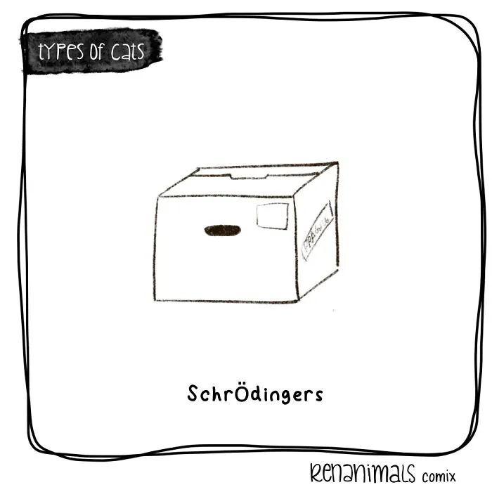 Schrödingers
