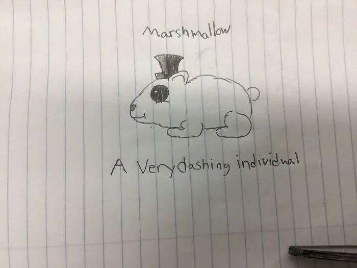 Hamter (I’m Sorry I’ve Never Draw An Hamster Before)
