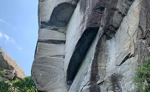 This 500 Million Years Young Rock Looks Like A Bison. Amazing