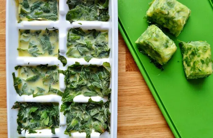 Preserve Your Herbs