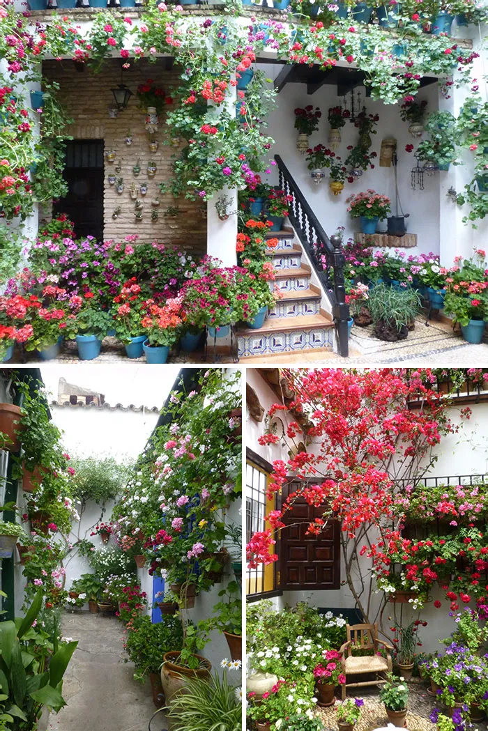 Cordoba Patio Festival In Spain. Each Year In May, Residents Open Up Their Patios For The Public To View Their Unique Displays