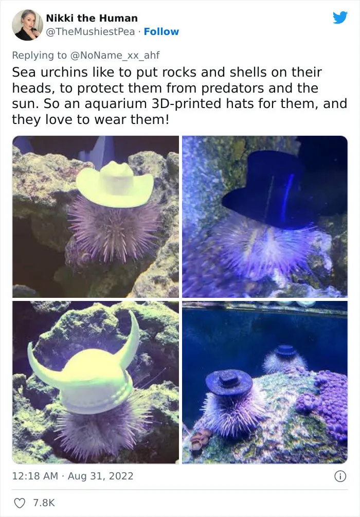 40 Funny Memes To Perfectly Sum Up IT Humor, As Shared By This Facebook Group