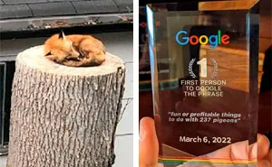 40 Funny Memes To Perfectly Sum Up IT Humor, As Shared By This Facebook Group