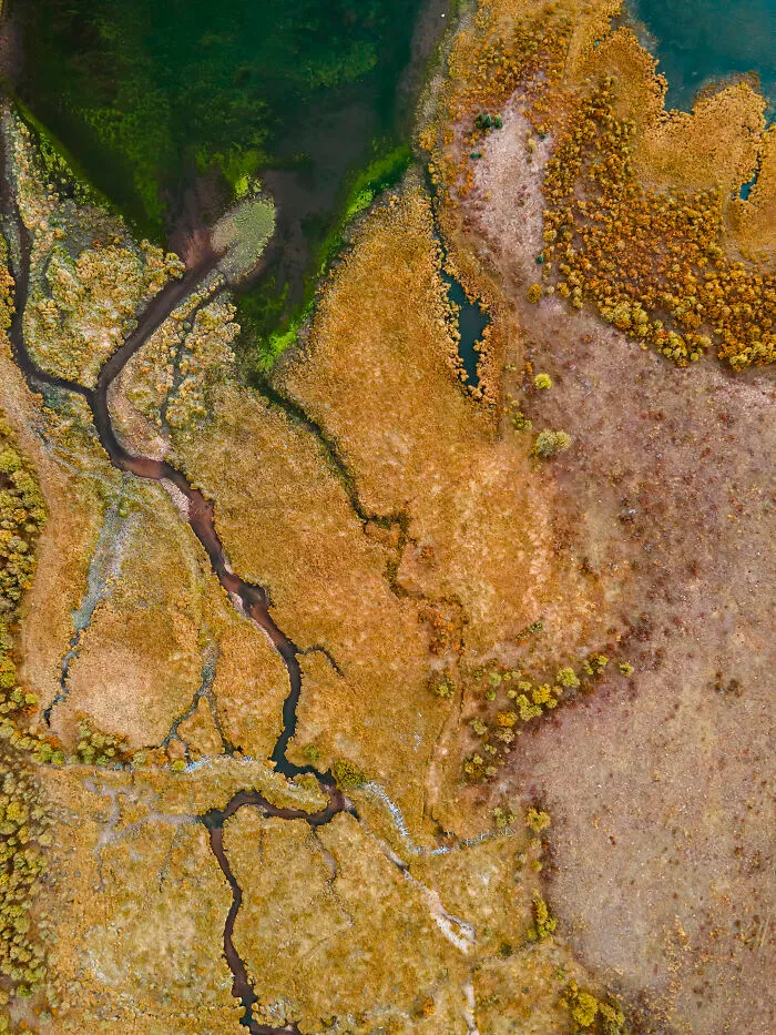 Subalpine Lake Edge