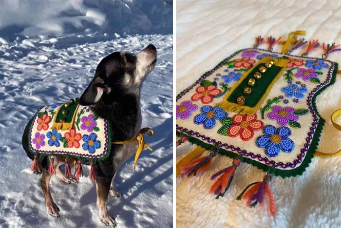 In My Part Of Canada We Have A Winter Festival In February Called The Yukon Sourdough Rendezvous