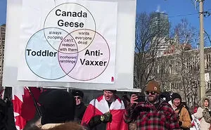 “Meanwhile, In Canada”: 50 Photos That Perfectly Sum Up Canada (New Pics)