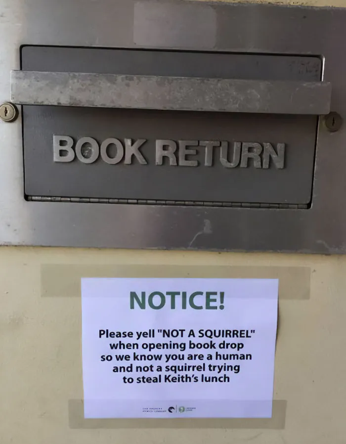 Not A Squirrel!