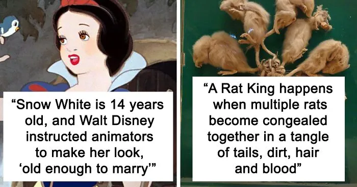 Someone Asked "What Is A Fun Fact That Is Mildly Disturbing?" And 35 People Delivered