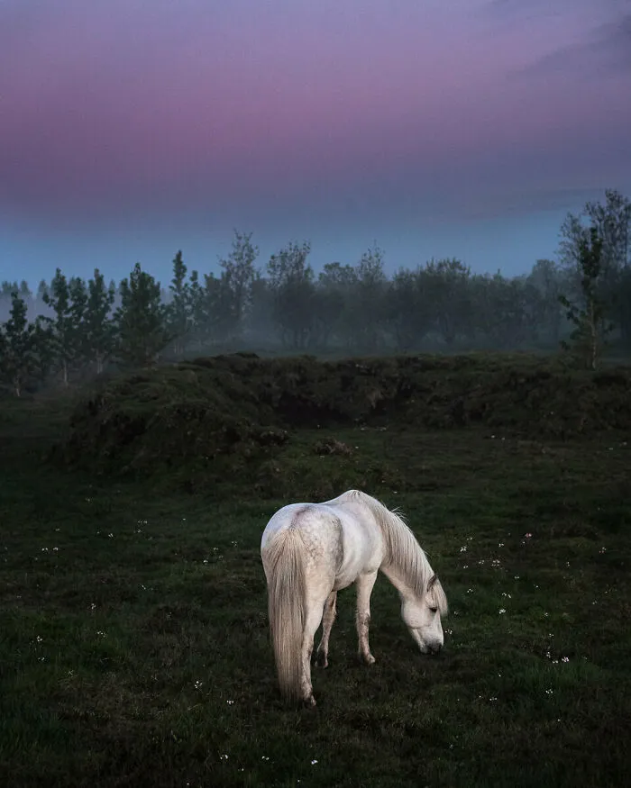 Midsummer Night