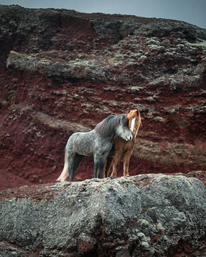 Red Hills
