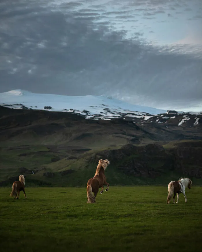 Authentic Icelandic Landscape At It's Best
