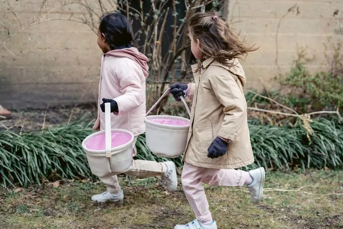 Child Welfare Investigators And The Essence Of Their Work