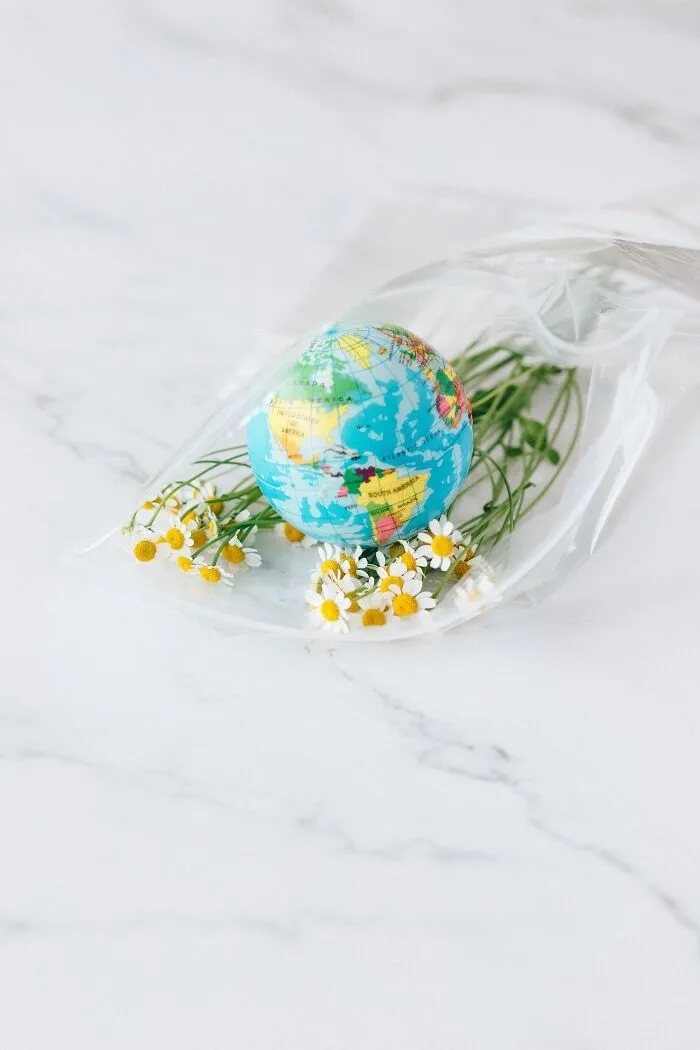Flat Earth Society