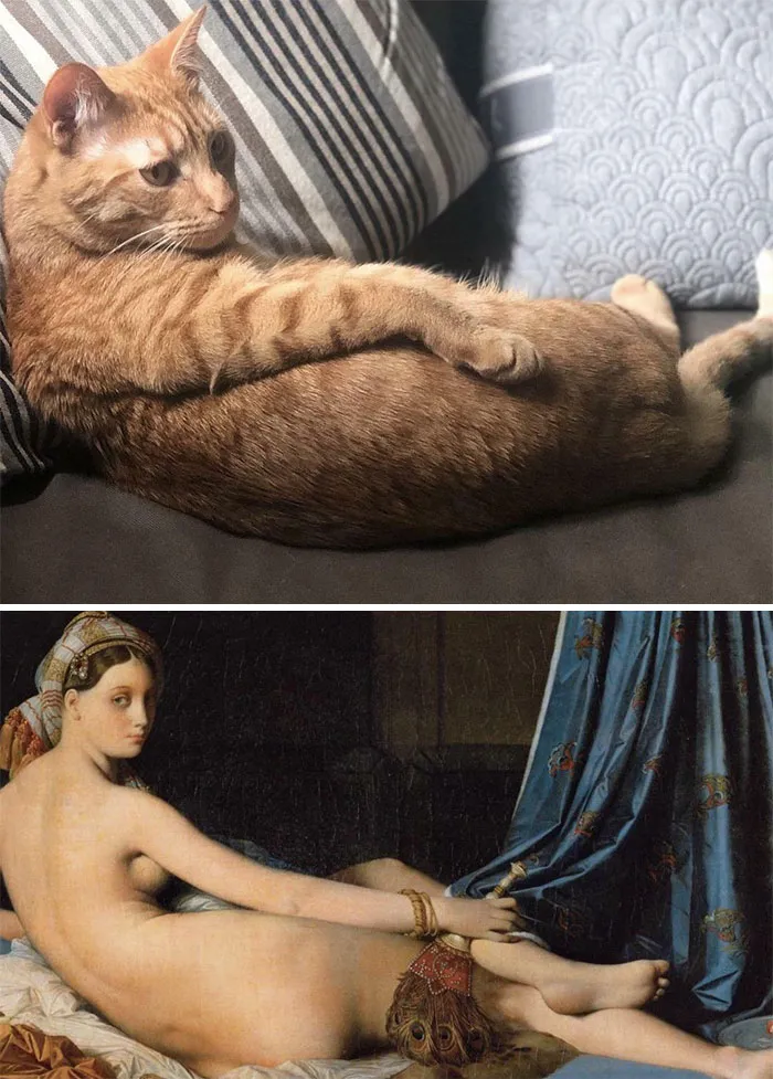 Ferdalisque