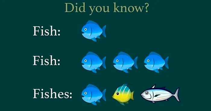 If You're Feeling Confused By The English Language, These 30 Tips By The "Pronunciation Mistake" Twitter Account May Clear Things Up