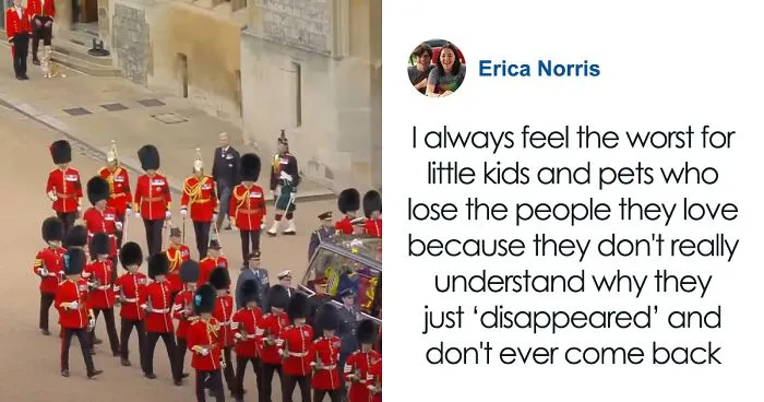 Heartbreaking Moment Of Queen Elizabeth II’s Corgis And Her Favorite Pony Awaiting The Arrival Of Her Coffin At Windsor Castle